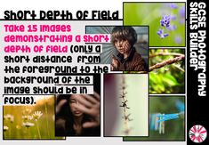 a collage of photos with words describing the different types of flowers and plants in them