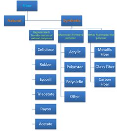 the structure of an organization diagram with all its main parts labeled in blue and white