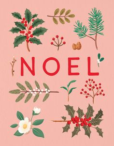 a christmas card with the words noel surrounded by holly leaves, mist and pine cones