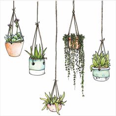 four hanging planters filled with succulents and plants