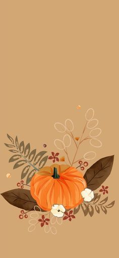 an orange pumpkin and some white flowers on a brown background