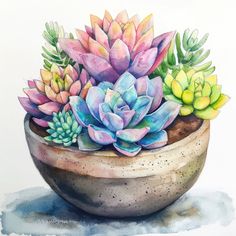 a painting of a potted plant with succulents