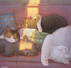 three cats sleeping on a couch next to each other with the sun shining through them