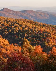 the mountains are covered in autumn foliage and trees with orange, yellow, and red leaves