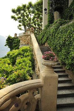 stairs lead up to the top of a building with flowers in pots on each side