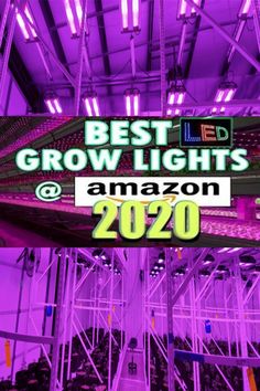 the words best grow lights at amazon in front of an image of rows of seats