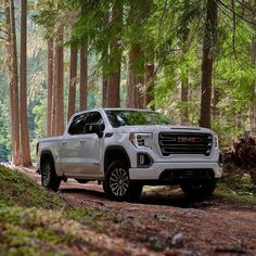 a white truck is parked in the woods