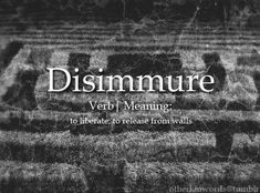 a black and white photo with the words disimmure in front of it