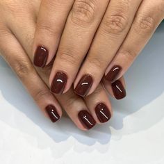 Rich Brown Nails, Brown Chocolate Nails, Brown Shellac Nails, Brown Sns Nails, Brown Dip Powder Nails, Brown Gel Nails Short, Dark Neutral Nails, Brown Color Nails, Neutral Brown Nails