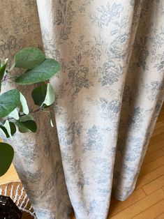 a potted plant sitting on top of a wooden table next to a window curtain