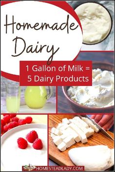 homemade dairy collage with text overlay that reads, homemade dairy 1 gallon of milk = 5 dairy products