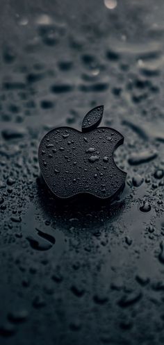 an apple logo is sitting on the wet surface