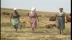 two women walking in the middle of a field with cows behind them and one woman wearing a headscarf