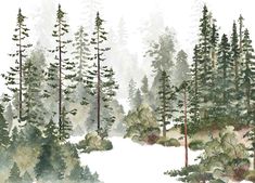 watercolor painting of trees and snow in the woods