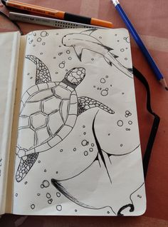 an open notebook with a drawing of a sea turtle