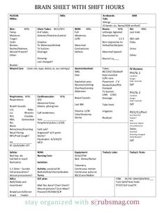 the worksheet for brain sheet with text