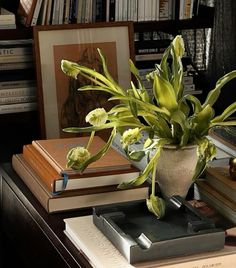 a potted plant sitting on top of a table next to books and other items