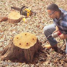 a man kneeling down next to a tree stump