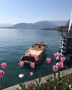 there is a small boat in the water with pink flowers around it and mountains in the background