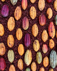 an assortment of colorfully colored nuts on top of coffee beans, with the tops slightly down