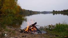 a campfire on the shore of a lake surrounded by grass and trees with water in the background