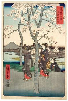 two women in kimonos standing next to a tree with cherry blossoms on it