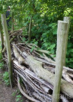 an old fence made out of sticks and branches in the woods with a man standing behind it