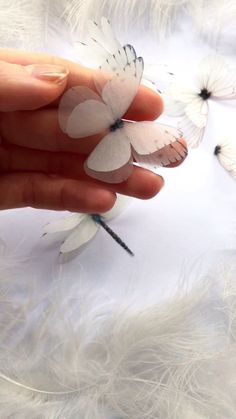 a hand holding some white flowers on top of a feathery surface with feathers in the background