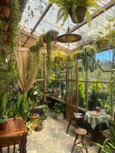 a room filled with lots of potted plants and greenery on the walls,