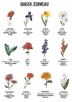 an image of flowers that are in english