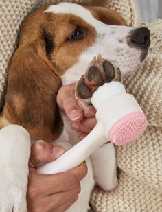 a dog is being held by its owner with a hair dryer in it's mouth