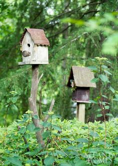 two wooden bird houses sitting on top of a tree