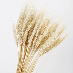 some dry grass is in a glass vase