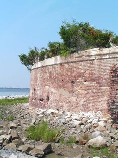 an old brick wall with plants growing out of it on the side of a beach