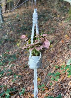 a hanging planter filled with flowers in the woods