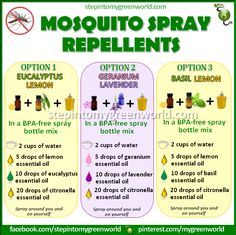 ☛ BY POPULAR DEMAND 3 EASY AMAZING DIY MOSQUITO SPRAY REPELLENTS. FOR ALL THE INFO ON THE MOSQUITO SPRAY REPELLENT RECIPES: http://www.stepintomygreenworld.com/greenliving/mosquito-spray-repellent-recipes/ ✒ Share | Like | Re-pin | Comment Natural Mosquito Spray, Natural Mosquito Repellant, Insect Spray, Oil Remedies, Living Essentials Oils, Living Essentials, Young Living Oils