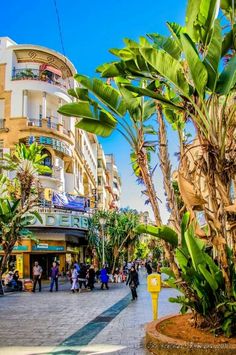 people are walking down the street in front of some buildings and palm trees on a sunny day