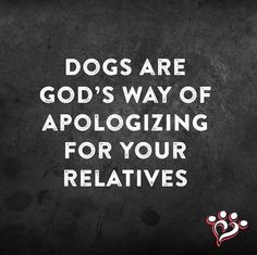 a black and white photo with the words dogs are god's way of apoloizing for your relatives