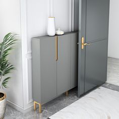 a grey cabinet with two doors next to a potted plant in a white room