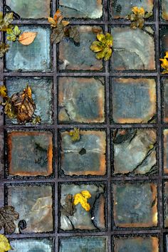 some leaves are laying on the ground in front of a glass block wall that looks like it has fallen apart