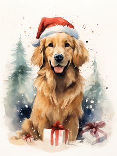 a golden retriever dog wearing a santa hat and sitting next to a christmas present