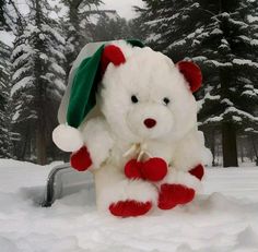 a white teddy bear wearing a green and red hat sitting in the snow with trees behind it