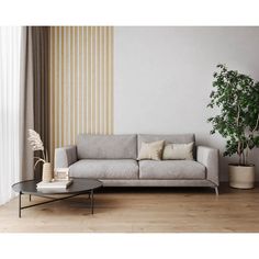 a living room with a couch, coffee table and potted plant in the corner