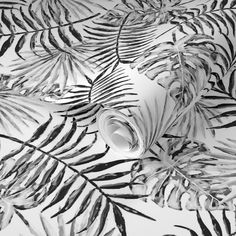 black and white palm leaves on a wallpapered room with a vase in the center