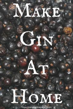 blueberries with the words make gin at home