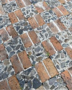 an orange and black cat laying on top of a brick sidewalk