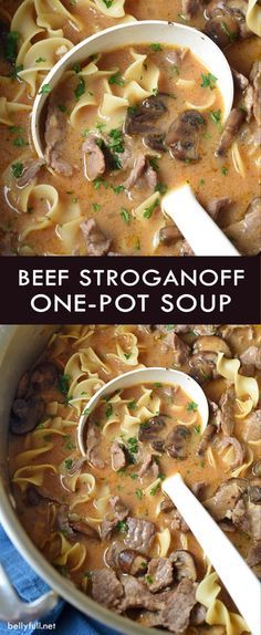 beef stroganonoff one - pot soup in a white bowl