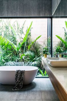 a bath tub sitting in front of a window next to a plant filled bathroom sink