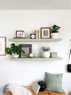 two shelves with books, plants and pictures on them