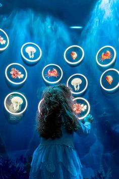 Underwater Exhibition, Oyster Wall, National Museum Of Qatar, Underwater Museum, معرض فني, Museum Exhibition Design, Interactive Museum, Interactive Exhibition, Public Space Design